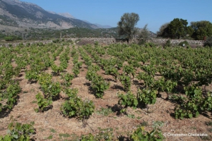 Οροπέδιο Κράπης