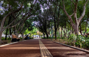 Georgiadis Park in Heraklion