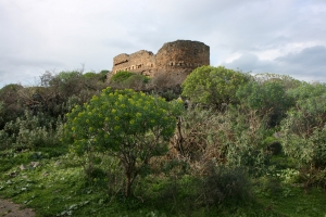 Κουλές στο Νιο Χωριό