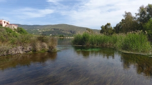 Αλμυρός Γεωργιούπολης