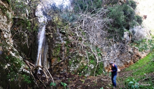 Spiliotissa Gorge, Rogdia