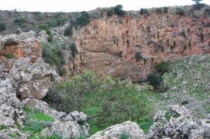 Βουλισμένο Αλώνι