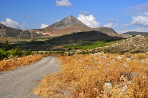 Δάσος Κέρης