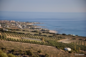 Vatalos beaches